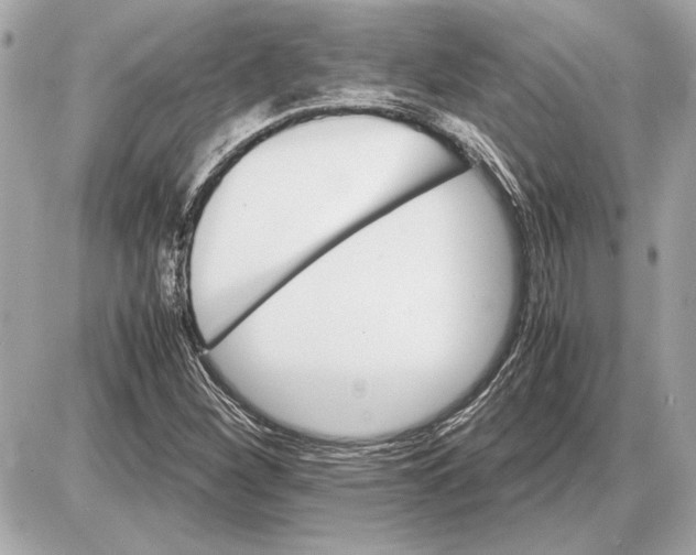 X0000085841260200704091714