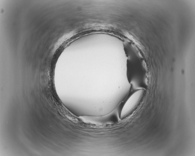 X0000085841261200704091714