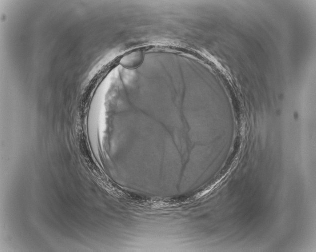 X0000085841263200704091714
