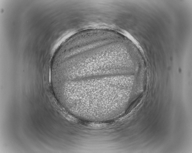 X0000085841269200704091714