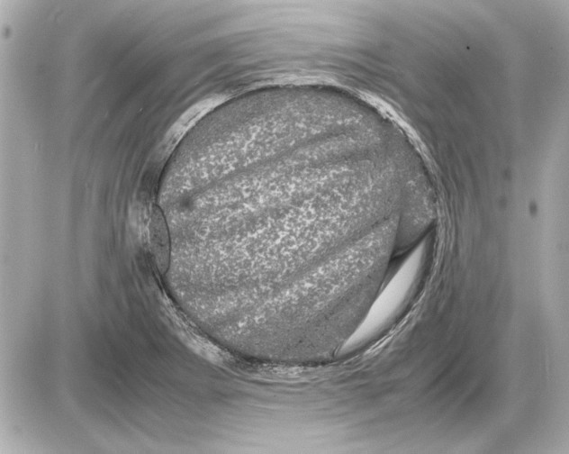X0000085841273200704091714