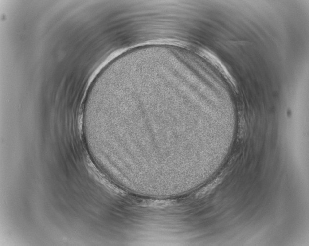 X0000085841284200704091714