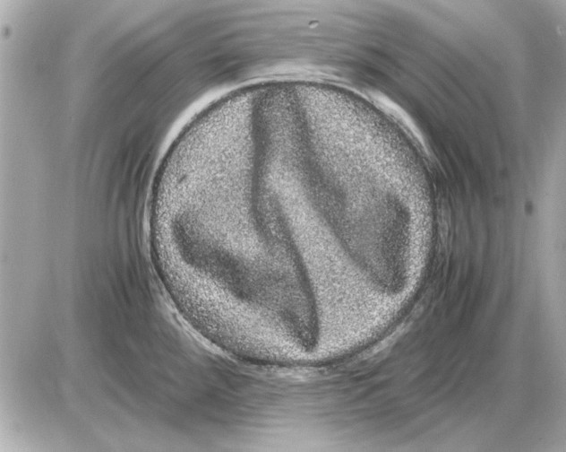 X0000085841288200704091714