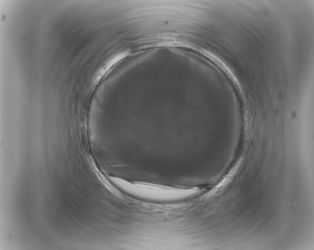 X0000085841289200704091714