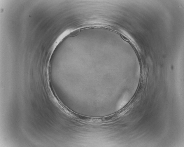 X0000085841291200704091714