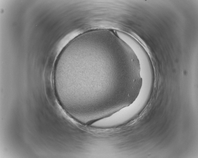 X0000085841293200704091714