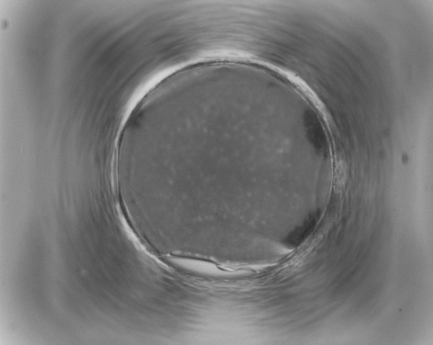 X0000085841295200704091714