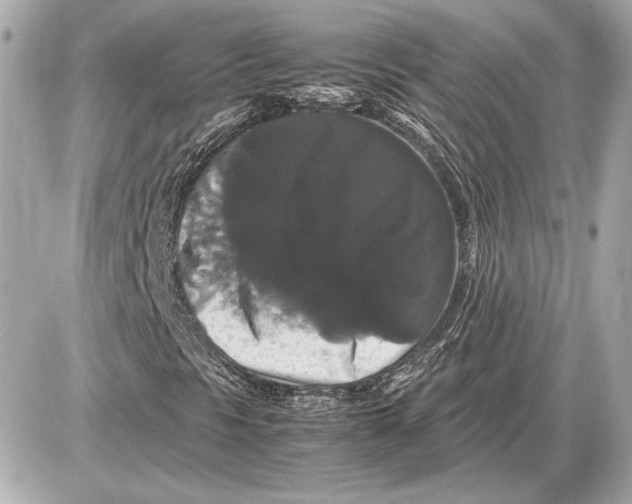 X0000085841297200704091713
