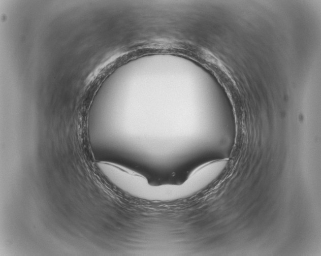 X0000085841304200704091713