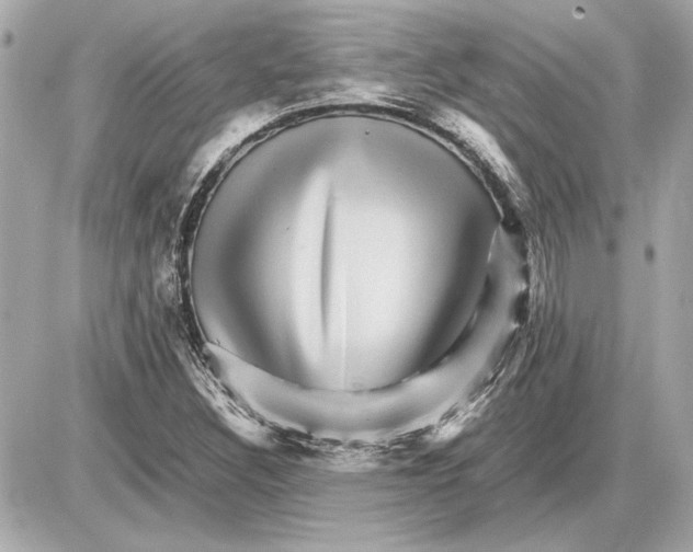 X0000085841308200704091713