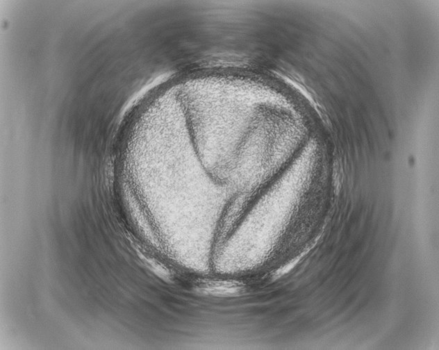 X0000085841309200704091713
