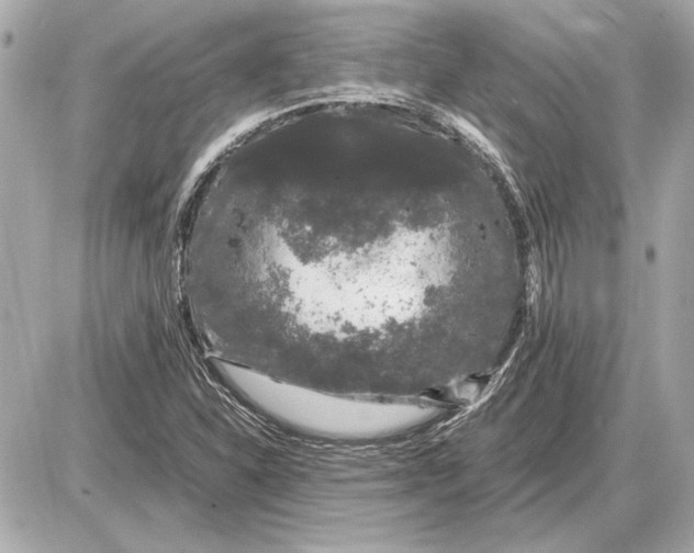 X0000085841310200704091713