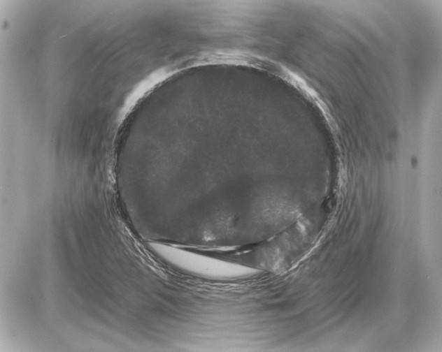 X0000085841312200704091713