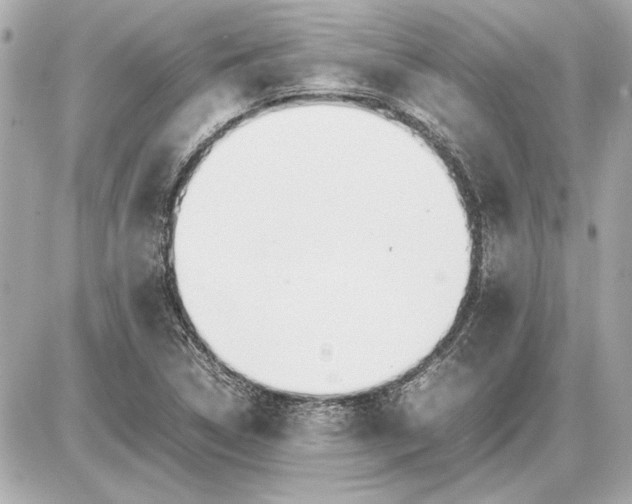 X0000085841314200704091713