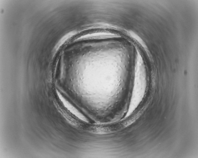 X0000085841318200704091713