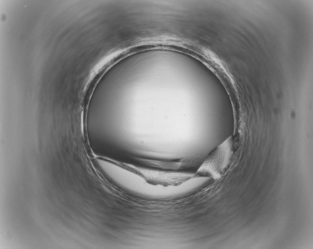 X0000085841320200704091713