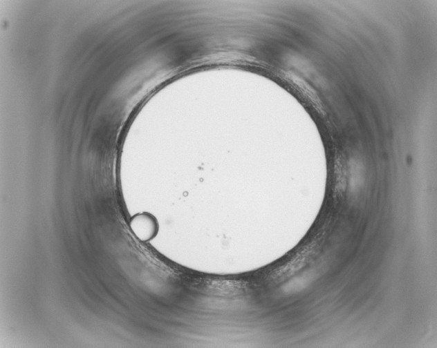 X0000085841322200704091713