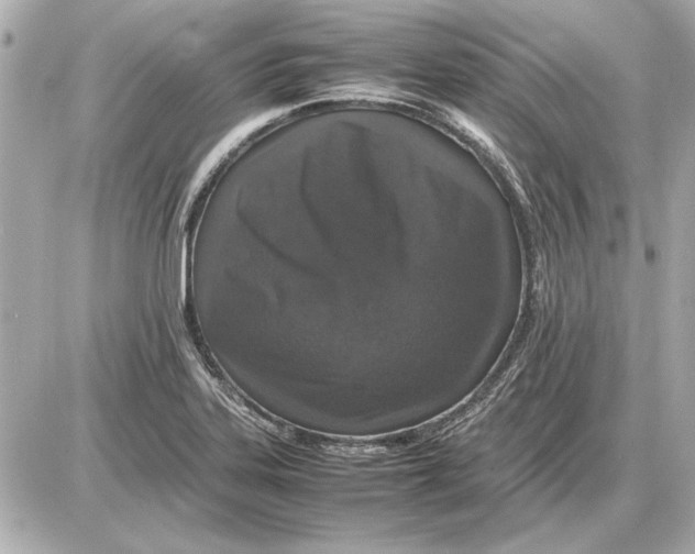 X0000085841323200704091713