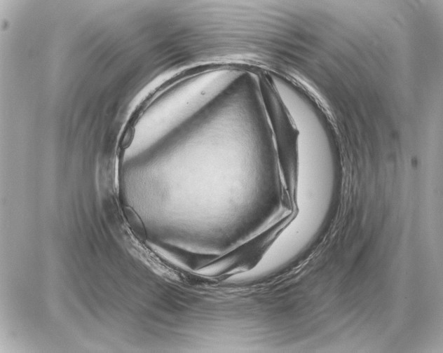 X0000085841324200704091713