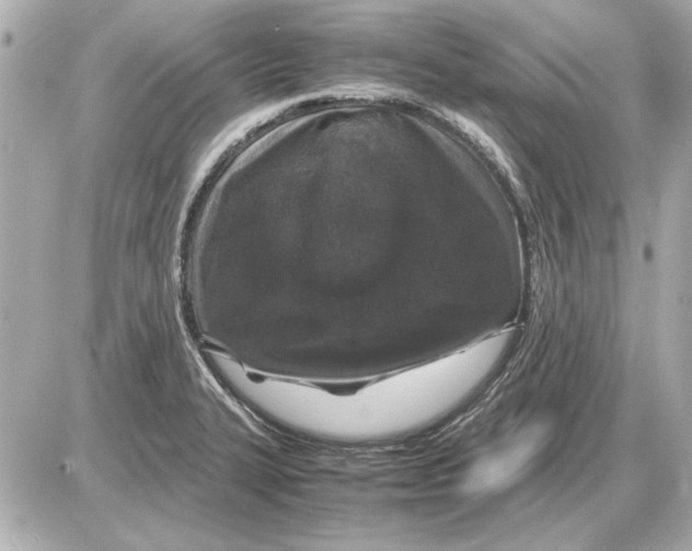 X0000085841327200704091713