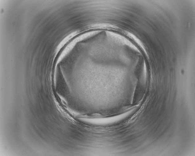 X0000085841330200704091713