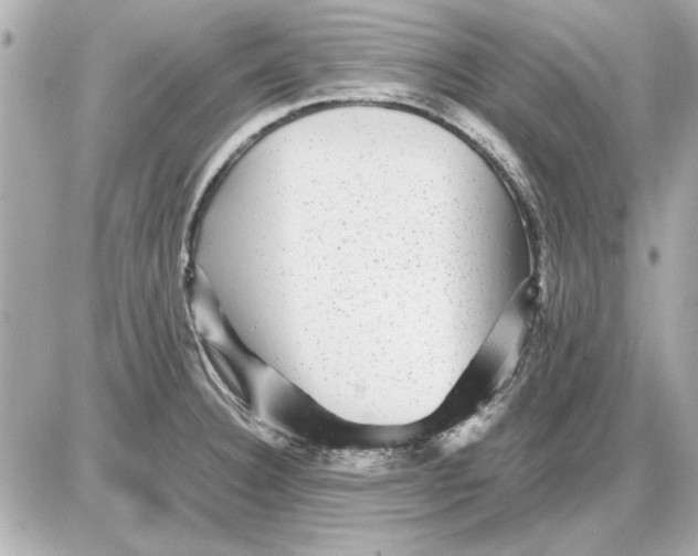 X0000085841332200704091713