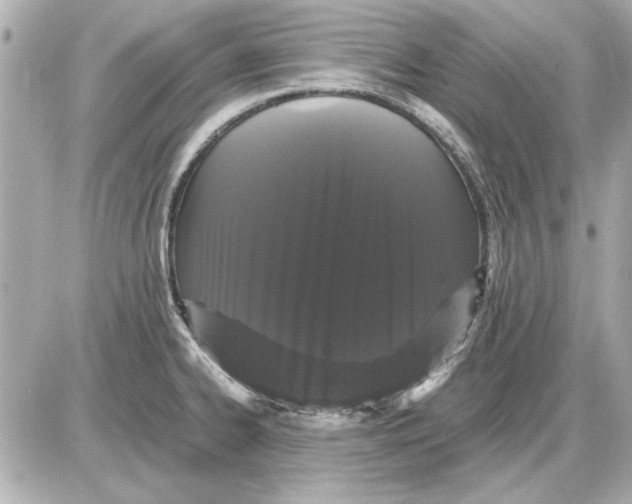 X0000085841334200704091713