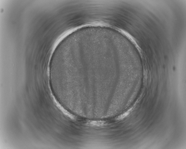 X0000085841335200704091713