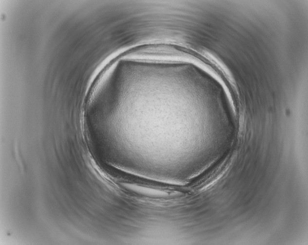 X0000085841340200704091714