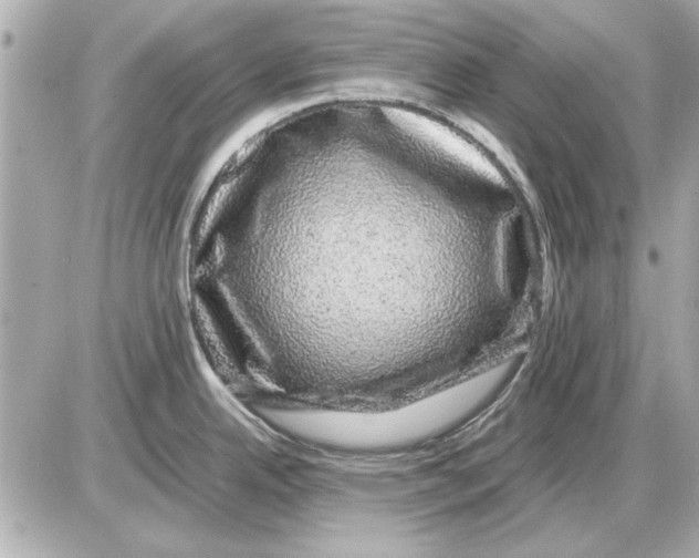 X0000085841342200704091714
