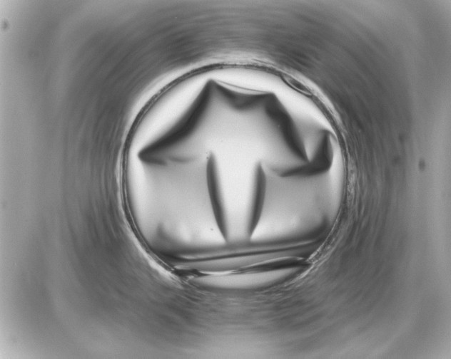 X0000085841343200704091714