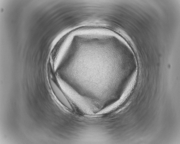 X0000085841344200704091714