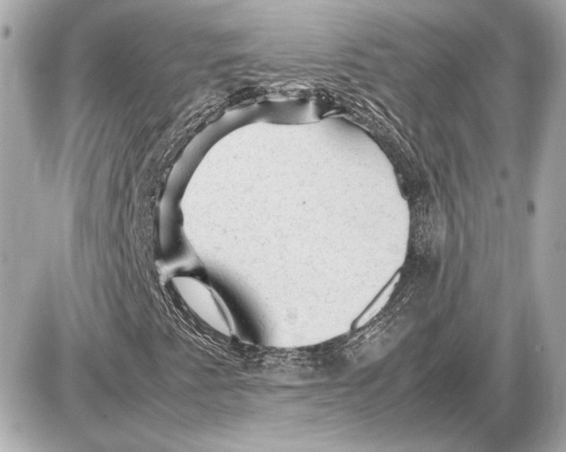 X0000085841345200704091713