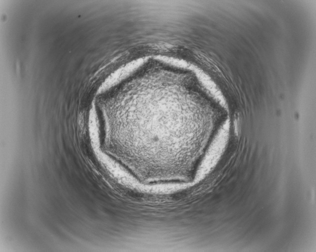 X0000085841347200704091713