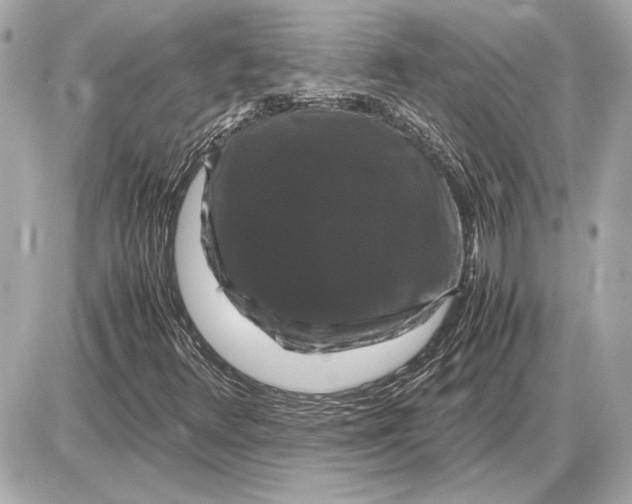 X0000085841348200704091713