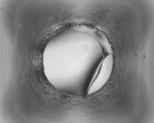 X0000085841349200704091713