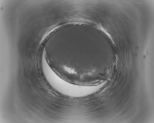 X0000085841352200704091713