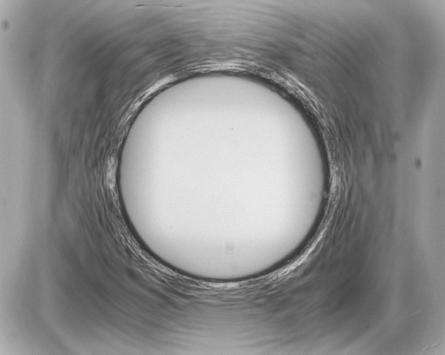 X0000085841353200704091713