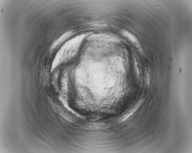 X0000085841354200704091713