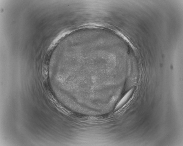 X0000085841355200704091713