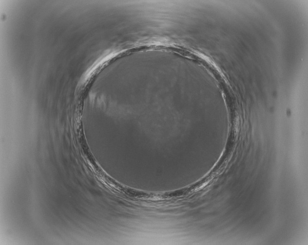X0000085841359200704091713