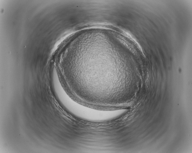 X0000085841360200704091713
