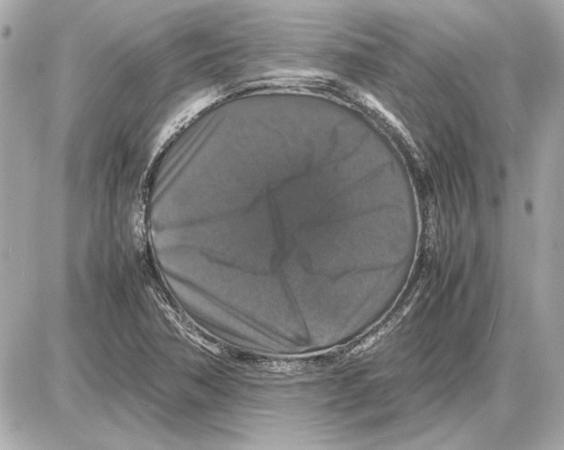 X0000085841362200704091713