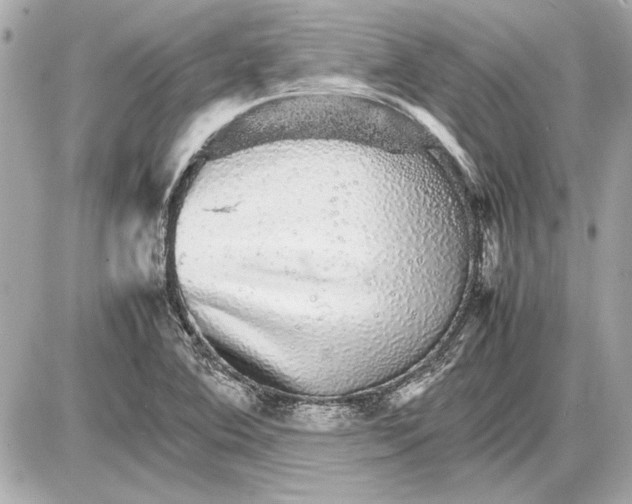 X0000085841364200704091713