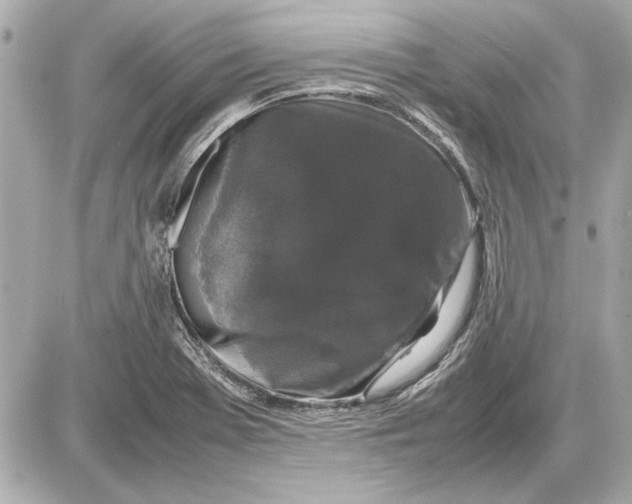 X0000085841369200704091712