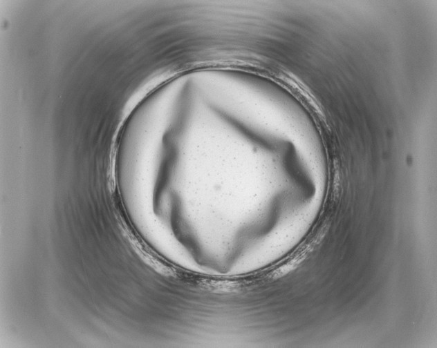 X0000085841370200704091712