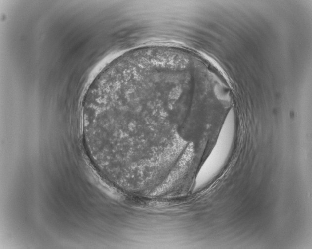 X0000085841371200704091712