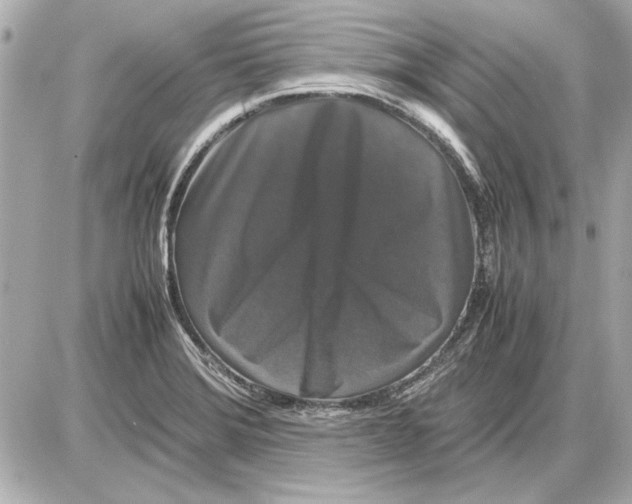 X0000085841372200704091712