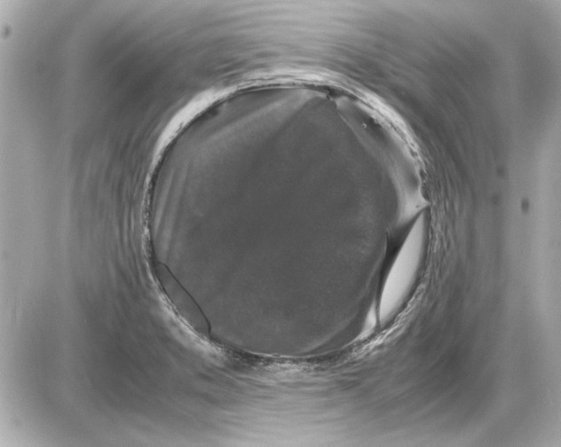 X0000085841373200704091712