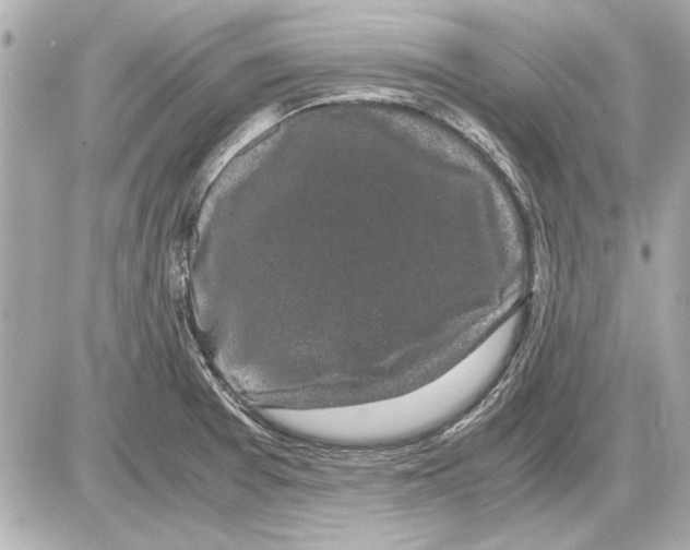 X0000085841377200704091712